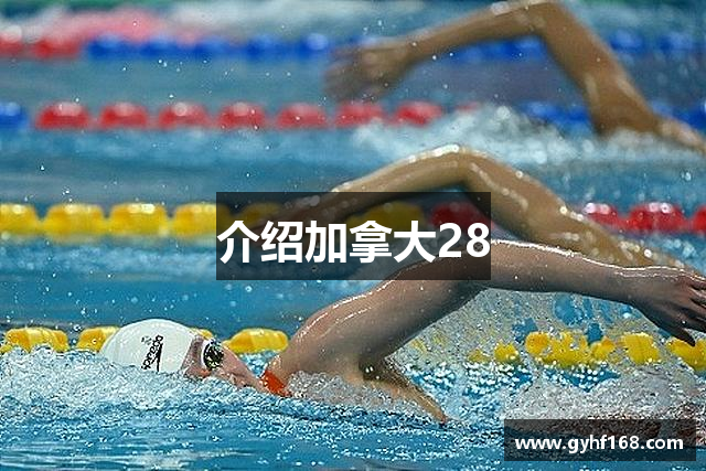 介绍加拿大28